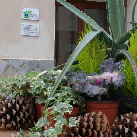 Albergue Turistico Tierras Altas Fuentes de Magana Eksteriør billede